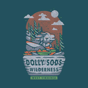 Dolly Sods Wilderness - Loving West Virginia (LovingWV)